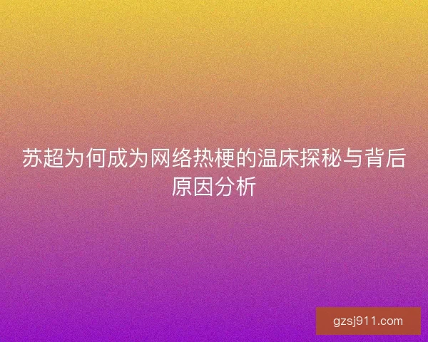 苏超为何成为网络热梗的温床探秘与背后原因分析