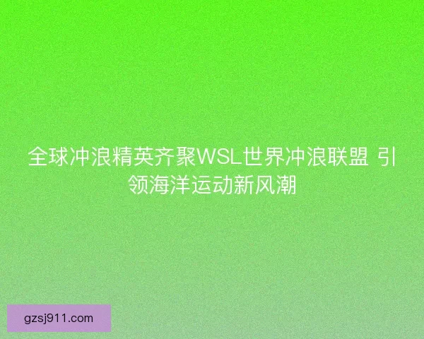 全球冲浪精英齐聚WSL世界冲浪联盟 引领海洋运动新风潮