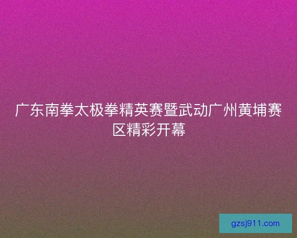 广东南拳太极拳精英赛暨武动广州黄埔赛区精彩开幕