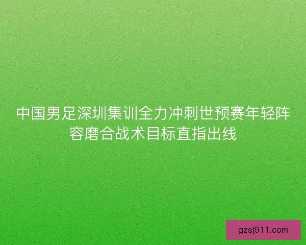 中国男足深圳集训全力冲刺世预赛年轻阵容磨合战术目标直指出线